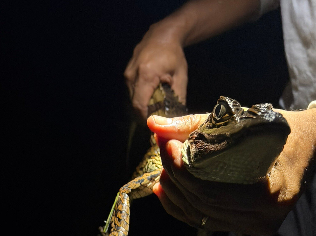 Amazon Green Tours-玛瑙斯必去景点