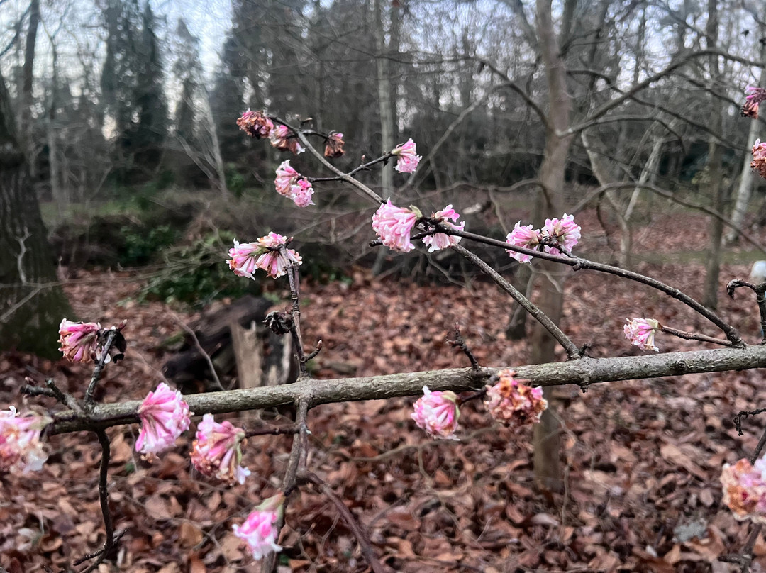 Green Island Gardens-Ardleigh必去景点