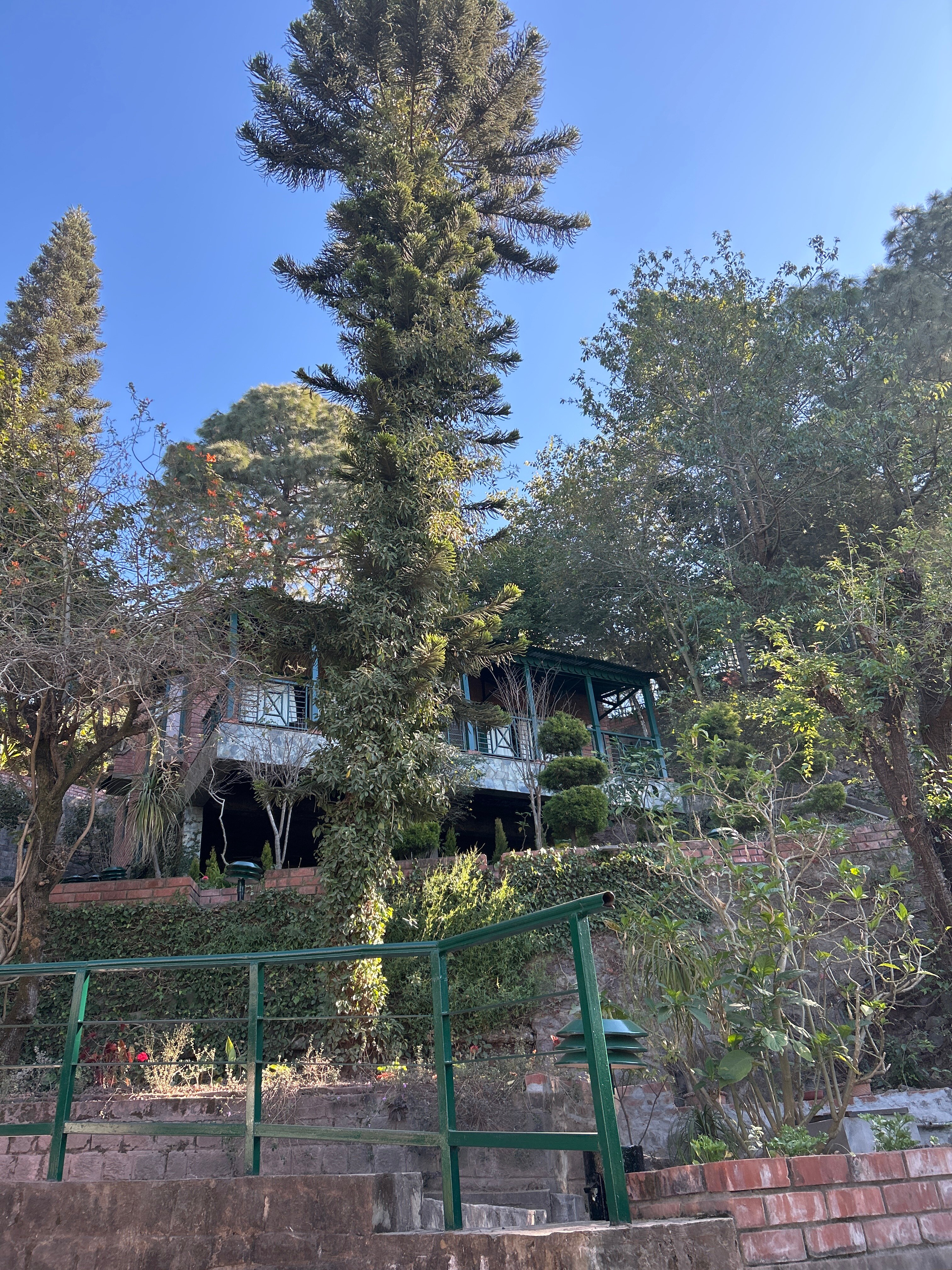 Baikunth Resort Kasauli By Leisure Hotels-官方