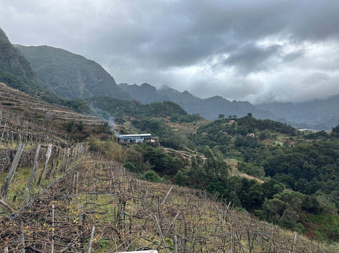 Quinta Do Barbusano-马德拉群岛必去景点
