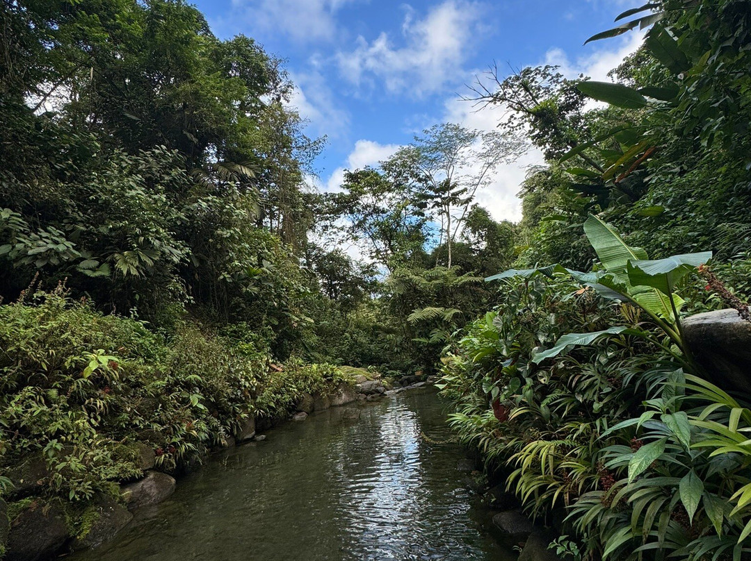 Kurú Natural Springs-福德圣卡洛斯必去景点