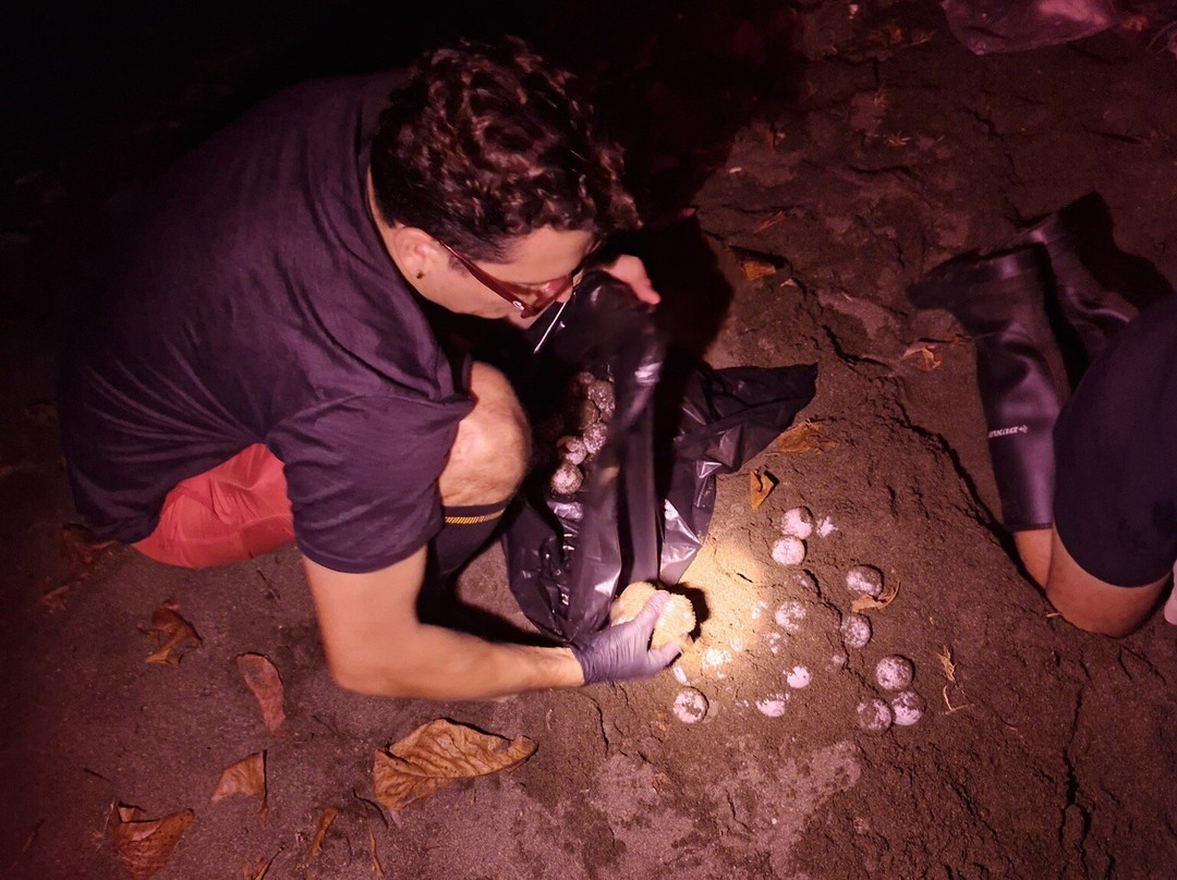 Osa Conservation Campus-希门尼斯港必去景点