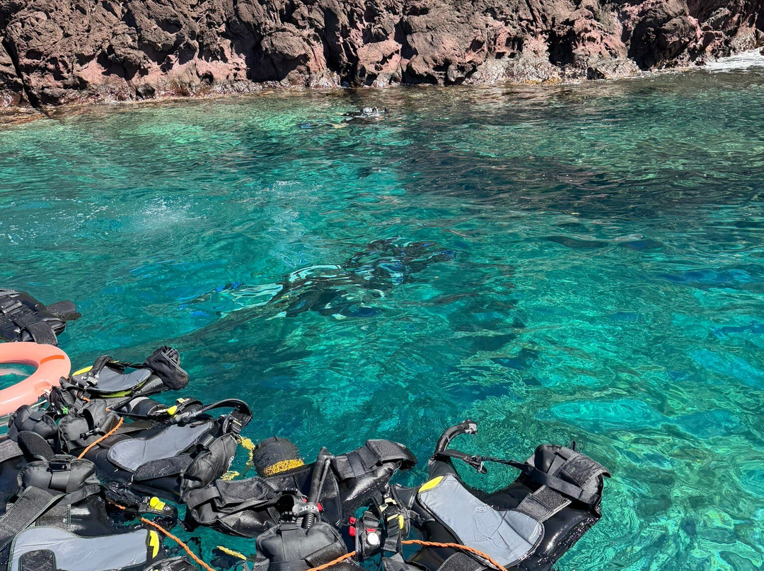 Alpha Plongée Martinique-Les Anses d'Arlet必去景点