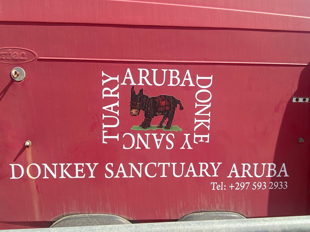 Donkey Sanctuary Aruba-Santa Cruz必去景点