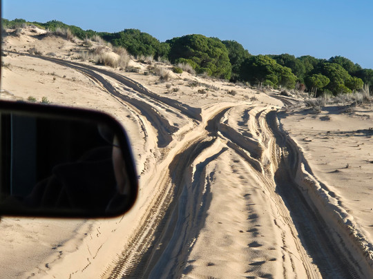 Donana Visitas-El Rocio必去景点