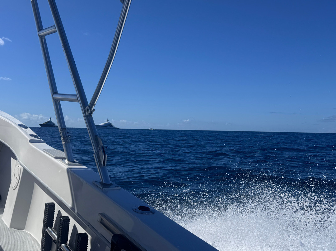 Day Trips BVI-托土拉必去景点