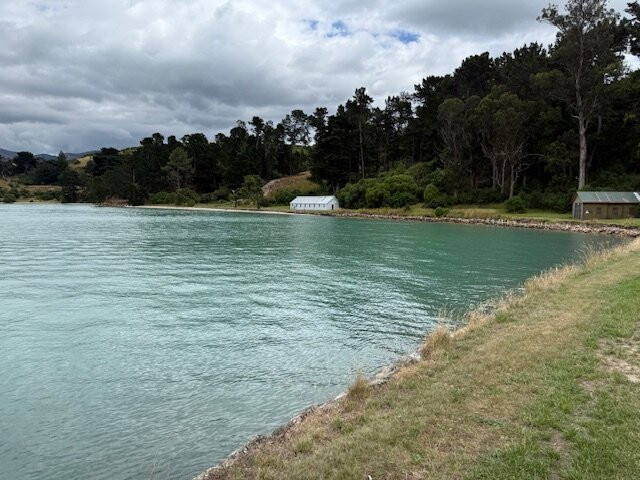 鹌鹑岛-基督城必去景点