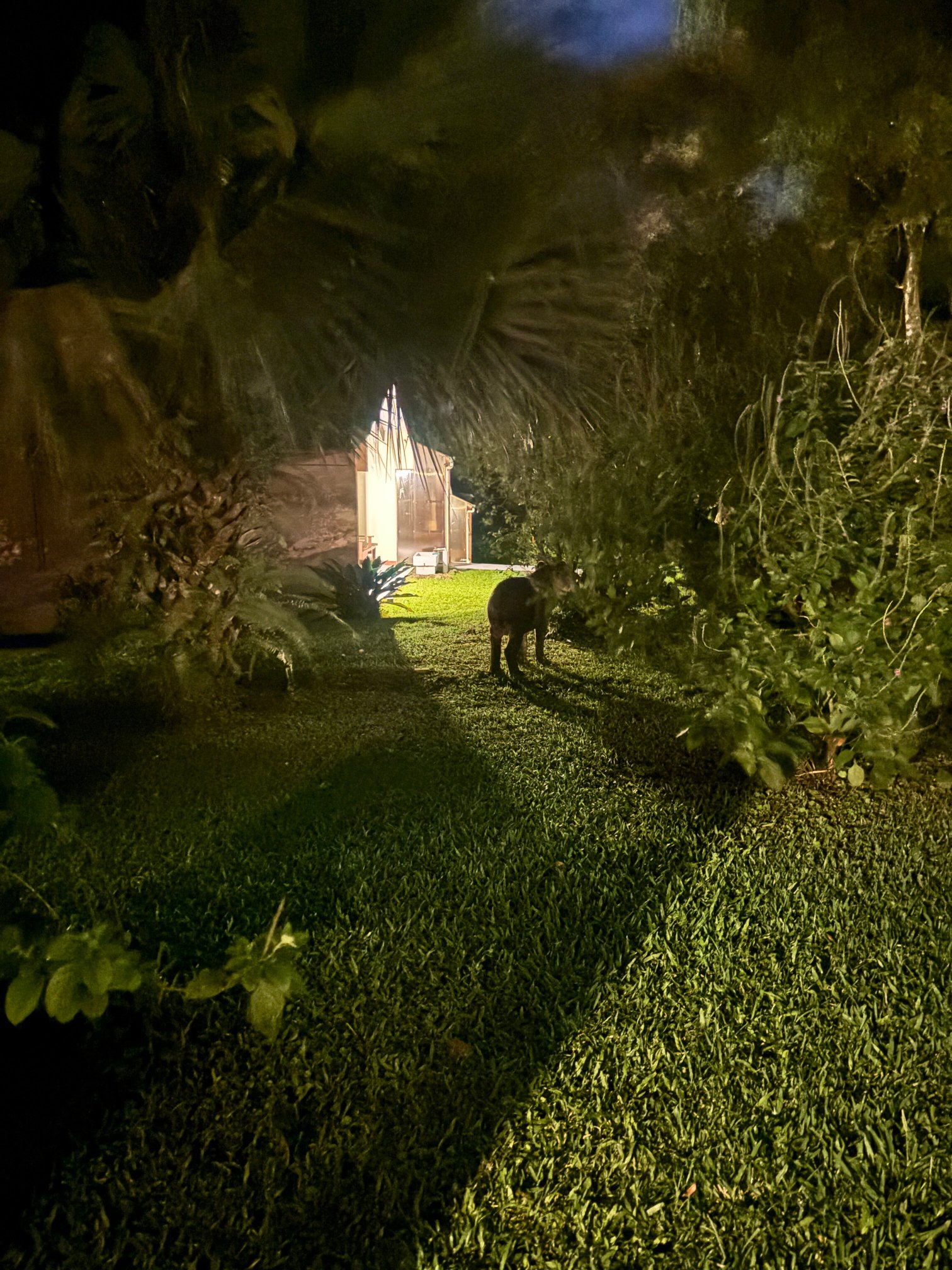 Tenorio Lodge-官方