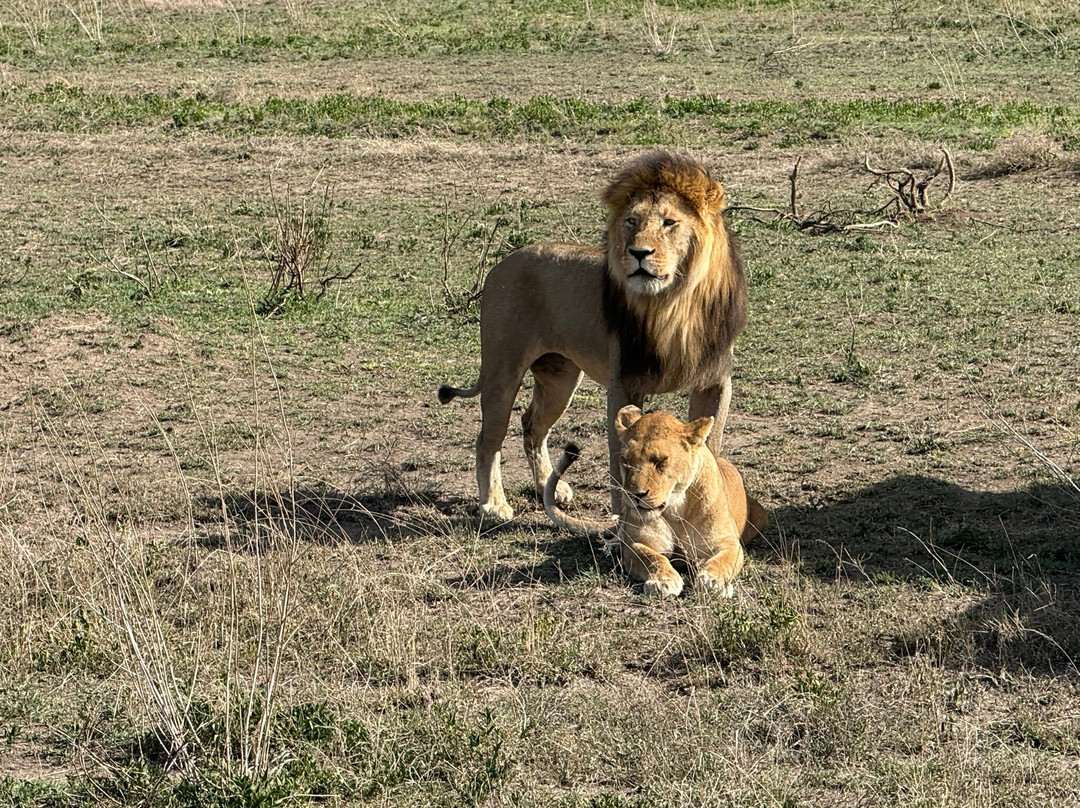 Utopia safaris-阿鲁沙必去景点