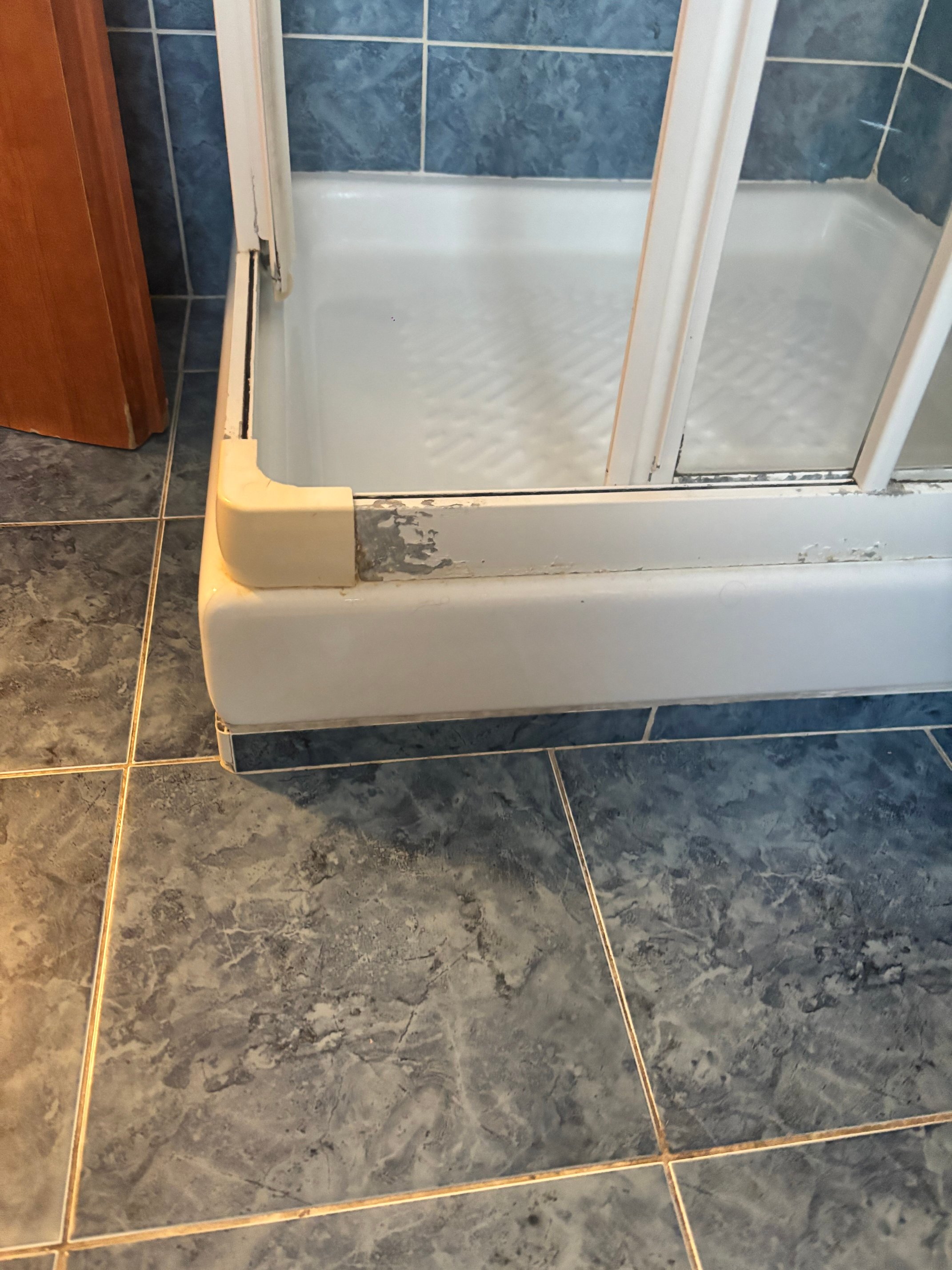 Hotel Delle Mimose-官方