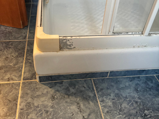 Hotel Delle Mimose主图