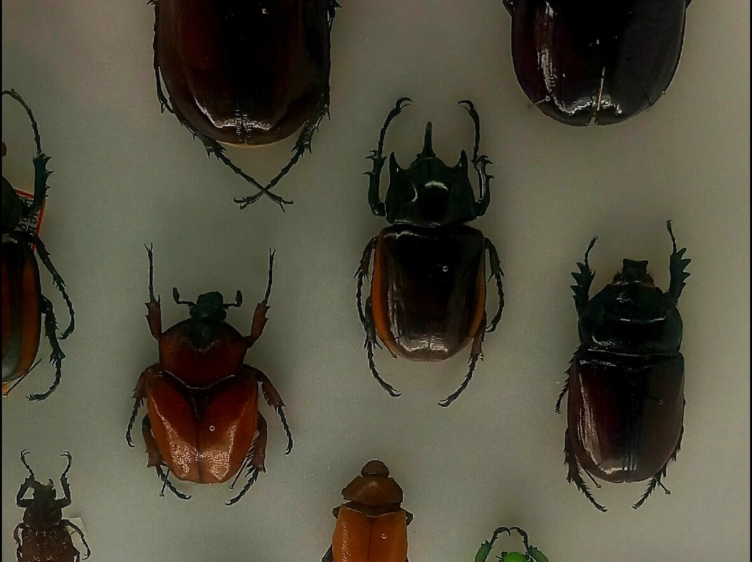 Stadtmuseum am Markt-威斯巴登必去景点