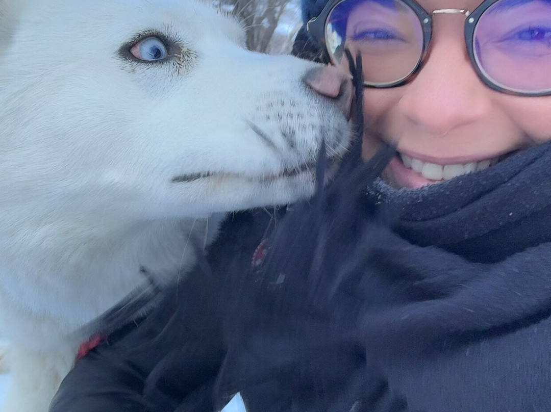 Chiens de Traineau-Saint Francois Longchamp必去景点