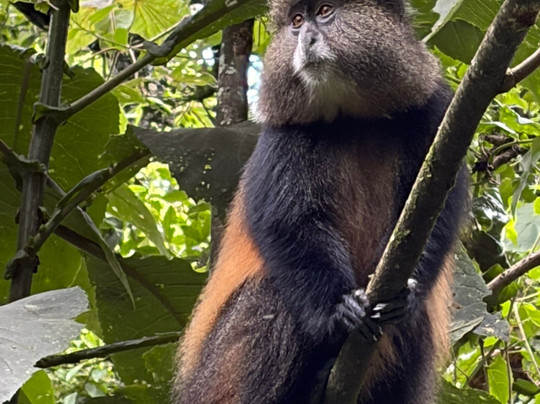 非洲冒险度假-坎帕拉必去景点