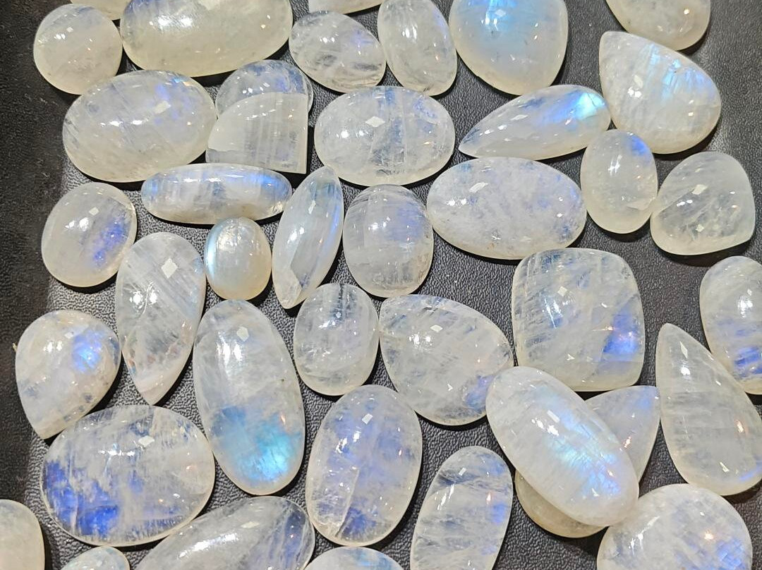 Tropical Lanka Travels-Udugampola必去景点