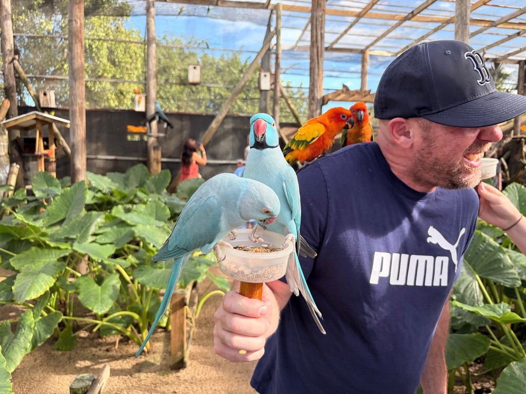 Parotte Ville Bird Sanctuary-圣马丁岛必去景点