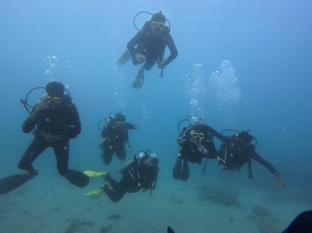 Turquoise Dream-Neil Island必去景点