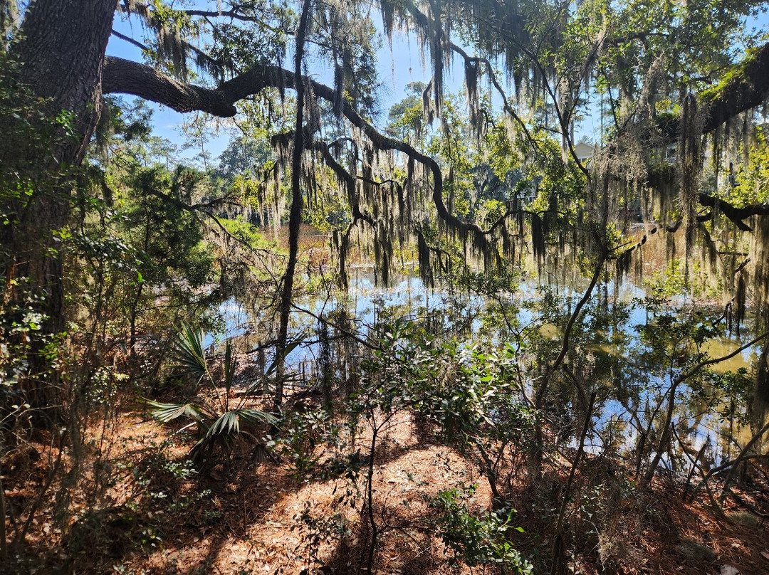Coastal Discovery Museum-希尔顿头岛必去景点