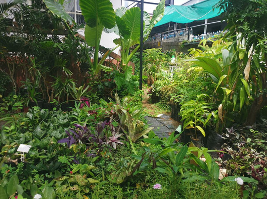 Tizardin-红地必去景点