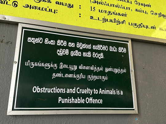 Ambewela Farms-奴娃拉伊利雅必去景点