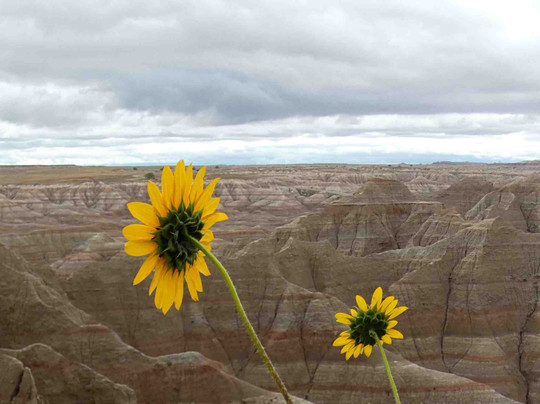 Badlands National Park-拉皮德城必去景点
