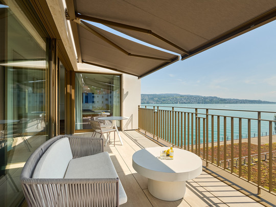 Alex Lake Zürich主图