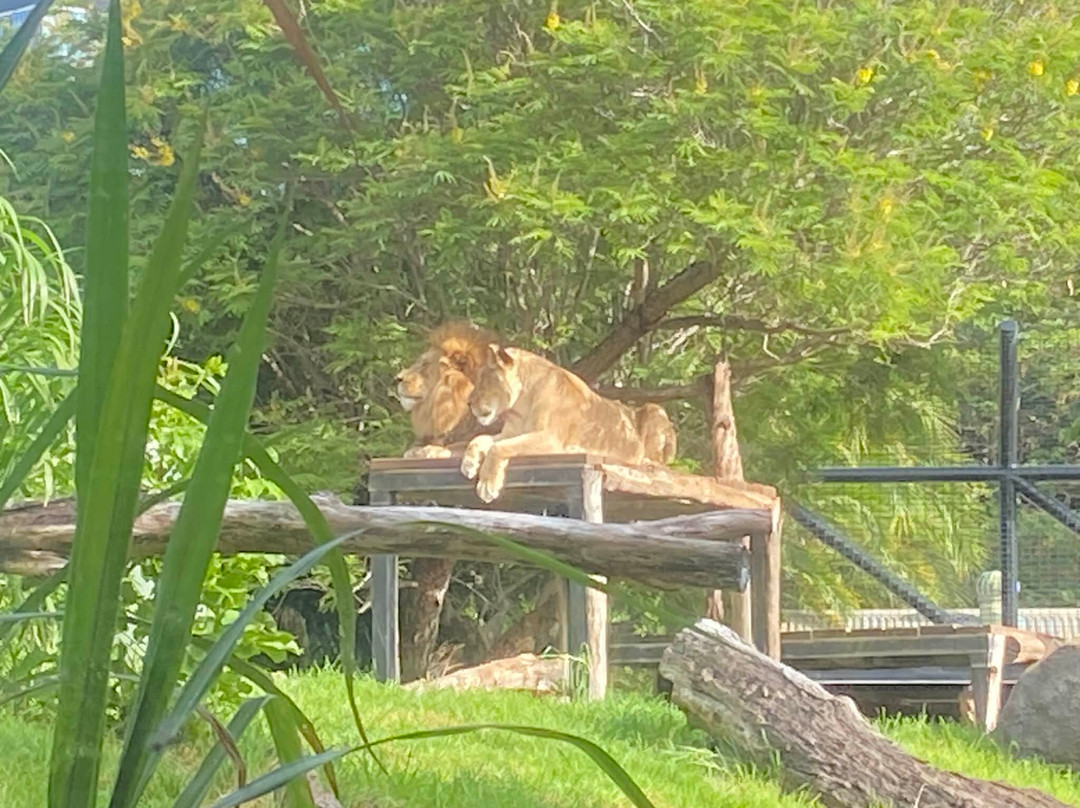 The Hike Collective-珀斯必去景点