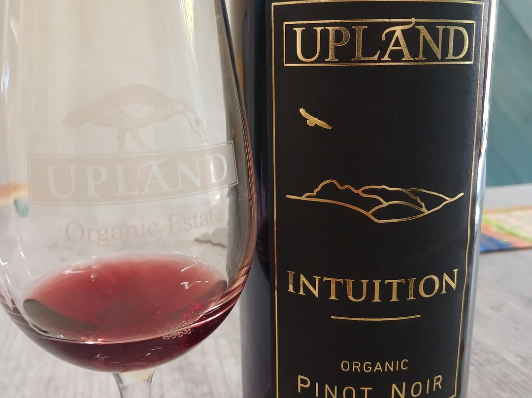 Upland Organic Wine-惠灵顿必去景点