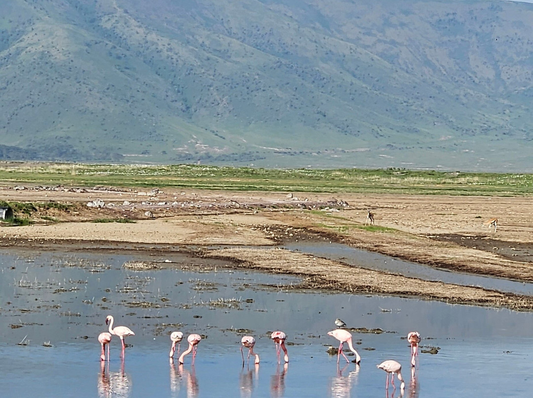 Unlimited Expeditions - The Soul Of Tanzania-阿鲁沙必去景点