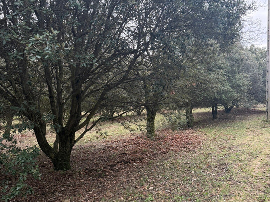 La Ferme Les Eybrachas主图