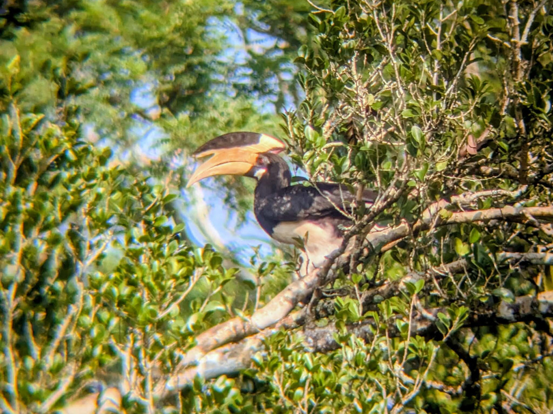 Udawalawe Lahiru Safari Guide Tours-乌达瓦拉维国家公园必去景点