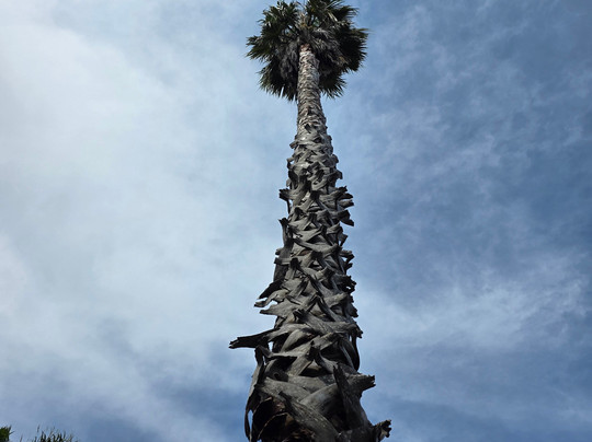 Topadahil Art Studios-Opoutere必去景点