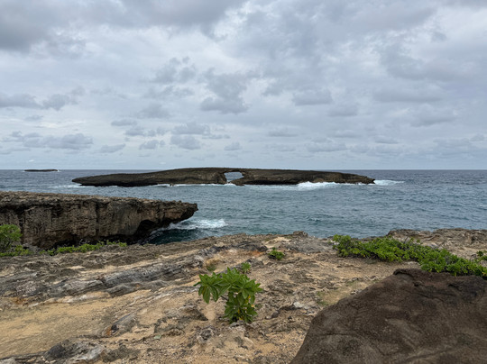 Tours By Locals-火奴鲁鲁必去景点