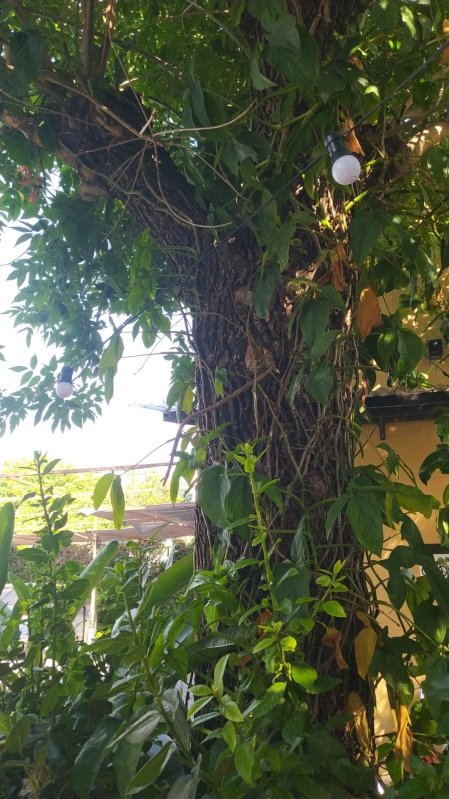 Hotel San Pedro & Resto-浴室