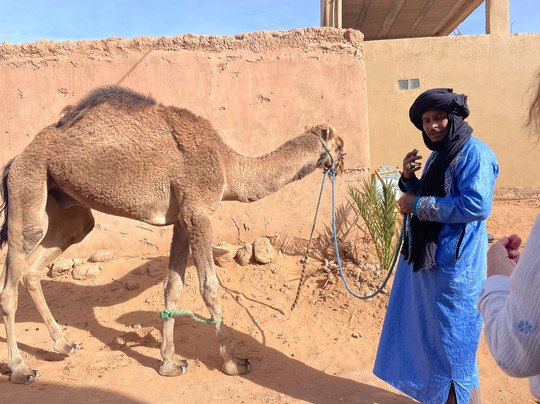 Rimal Travel-迈哈米德必去景点