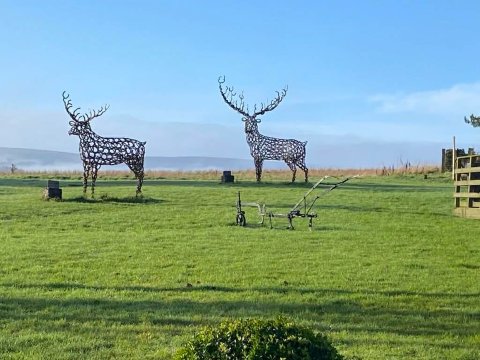 Derwent Manor Boutique Hotel-浴室