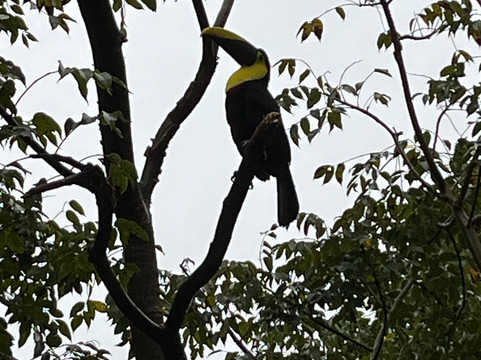 特诺里奥旅舍主图