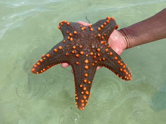 Amico Kenya • Tours & Safari-瓦塔木必去景点