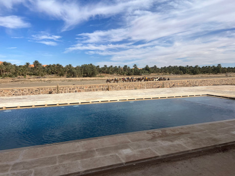 梅尔祖加的里亚德莱斯加登主图