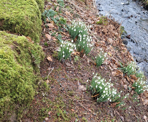 Dumfries House-Cumnock必去景点