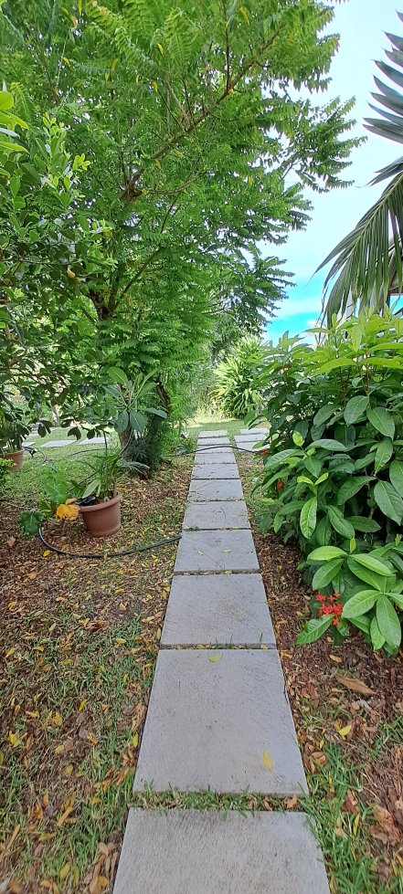 La Cabane d'Ete-官方