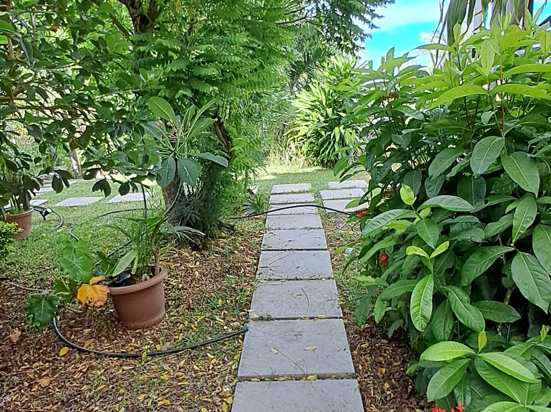 La Cabane d'Ete主图