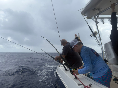 Gofishvi-Kingshill必去景点