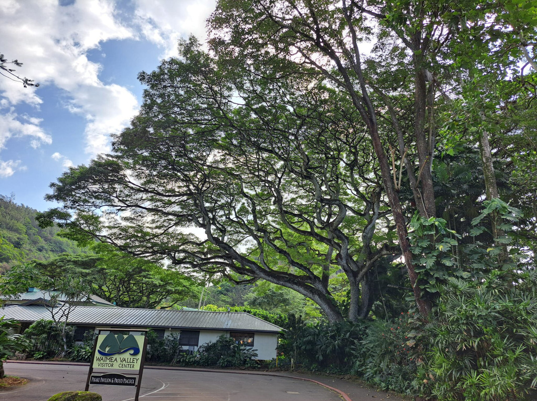 Waimea Falls-Pupukea必去景点