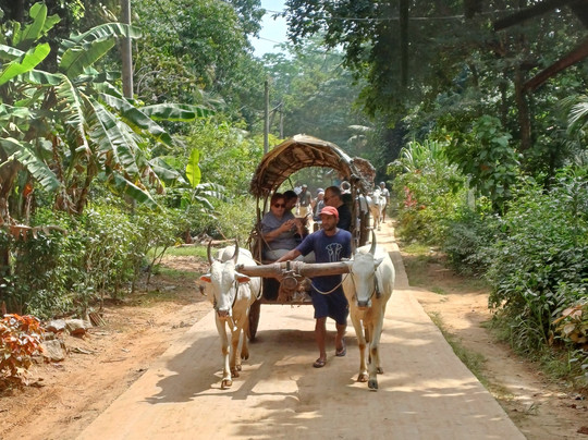 Sri Infinity Tours-贝卢瓦拉必去景点