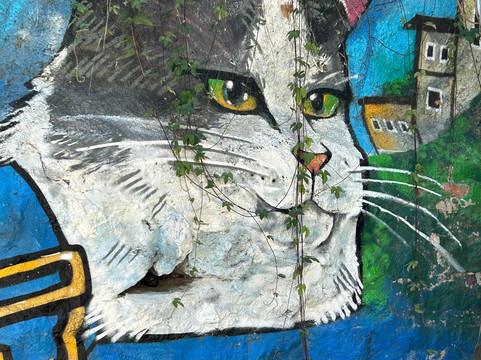 Private Tours Santiago-圣地亚哥必去景点