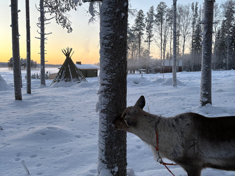Northern Lights Park-罗瓦涅米必去景点