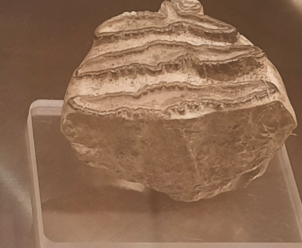 Mae - Museo Archeologico Ernico-Anagni必去景点