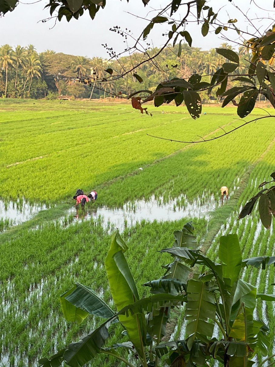 贝莱萨海滨酒店-浴室
