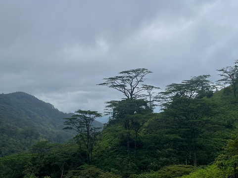 Sri Lanka Trekking-康提必去景点
